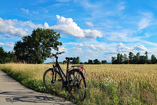 bicycles